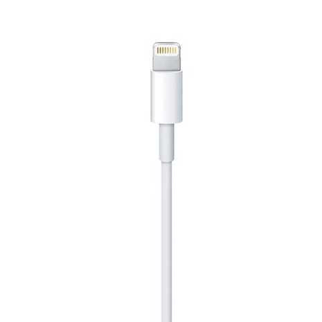 Lightning to USB Cable | iPhone Cable | iPad Cable | 1 Metre fonezworldarklow